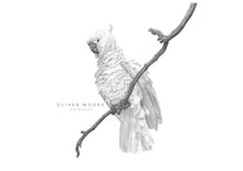 Load image into Gallery viewer, Oliver Moore Art