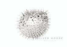 Load image into Gallery viewer, Oliver Moore Art