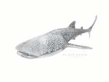 Load image into Gallery viewer, Oliver Moore Art