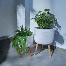 Load image into Gallery viewer, FIXIE - Planter Pot Medium
