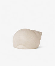 Load image into Gallery viewer, Snail Shell Deco Light
