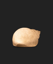 Load image into Gallery viewer, Snail Shell Deco Light
