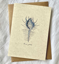 Load image into Gallery viewer, Handmade Cards
